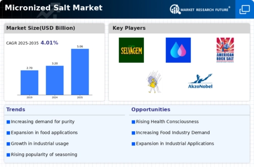 Micronized Salt Market Infographic