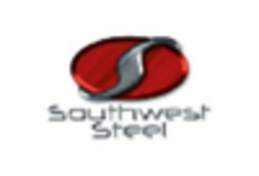 Cold Stamping Body In White Market key player