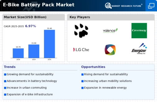 E Bike Battery Pack Market Infographic