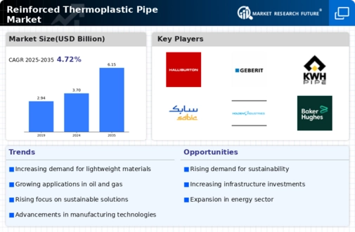 Reinforced Thermoplastic Pipe Market Infographic