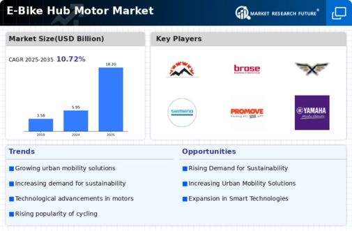 E Bike Hub Motor Market Infographic