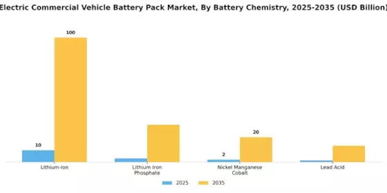 Electric Commercial Vehicle Battery Pack Market Segment Image 0