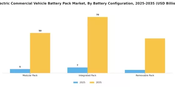Electric Commercial Vehicle Battery Pack Market Segment Image 3
