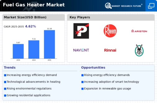 Fuel Gas Heater Market Infographic