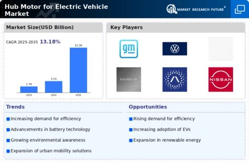 Hub Motor Electric Vehicle Market Infographic