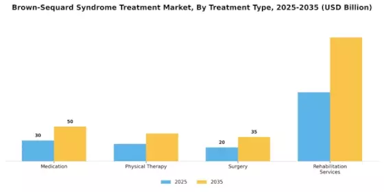 Brown Sequard Syndrome Treatment Market Segment Image 0