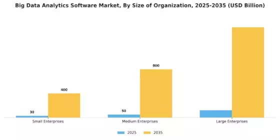 Big Data Analytics Software Market Segment Image 3