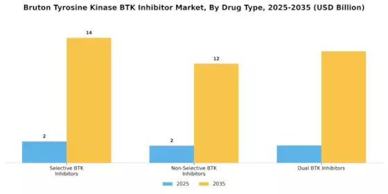 Bruton Tyrosine Kinase Inhibitor Market Segment Image 1