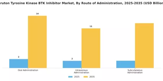 Bruton Tyrosine Kinase Inhibitor Market Segment Image 2