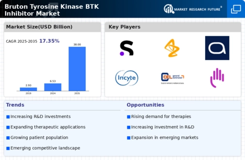 Bruton Tyrosine Kinase Inhibitor Market Infographic