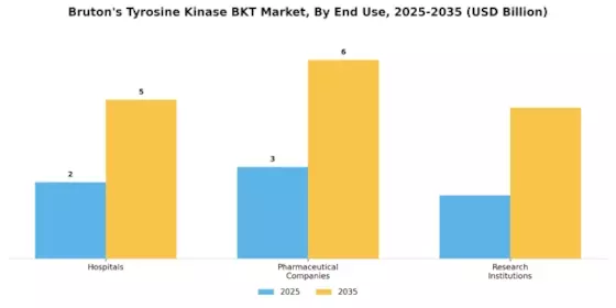 Brutons Tyrosine Kinase Market Segment Image 1