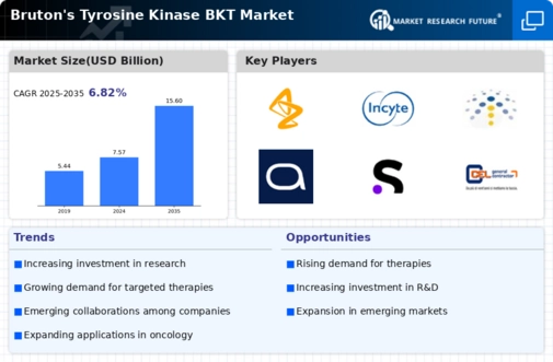 Brutons Tyrosine Kinase Market Infographic