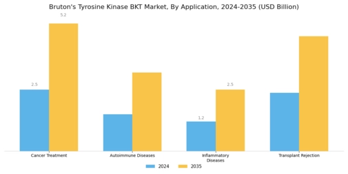 Brutons Tyrosine Kinase Market Segment Image 0