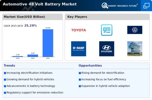 Automotive 48 Volt Battery Market Infographic