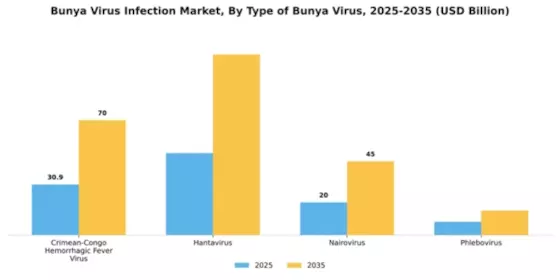 Bunya Virus Infection Market Segment Image 3