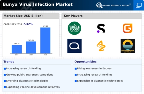 Bunya Virus Infection Market Infographic