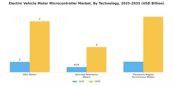 Electric Vehicle Motor Micro Controller Market Segment Image 2