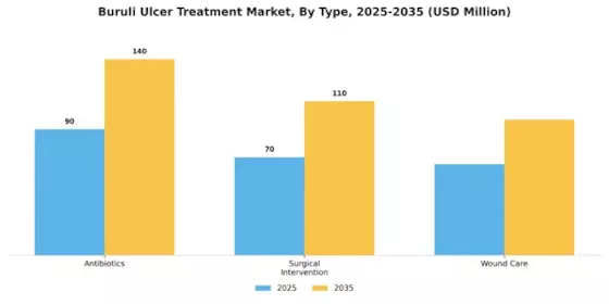 Buruli Ulcer Treatment Market Segment Image 0