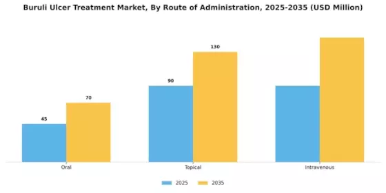 Buruli Ulcer Treatment Market Segment Image 1