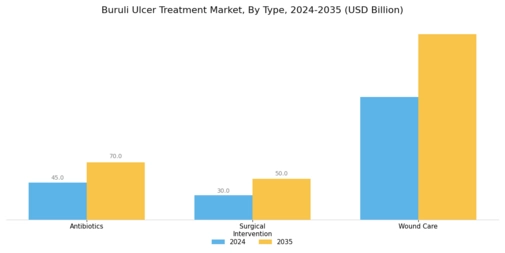 Buruli Ulcer Treatment Market Segment Image 0