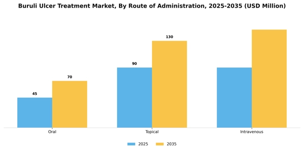 Buruli Ulcer Treatment Market Segment Image 2