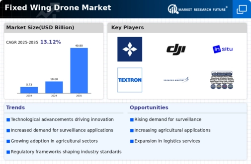 Fixed Wing Drone Market Infographic
