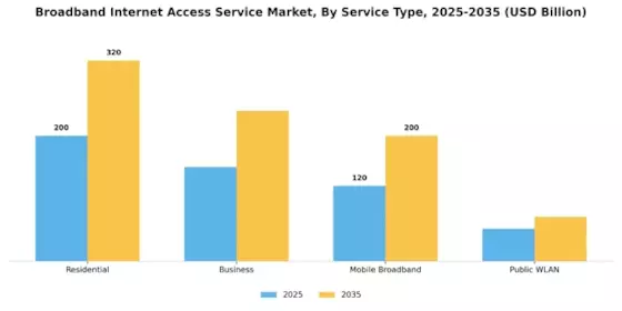 Broadband Internet Access Service Market Segment Image 1