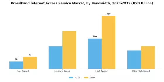 Broadband Internet Access Service Market Segment Image 3