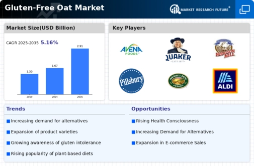 Gluten-Free Oat Market Infographic