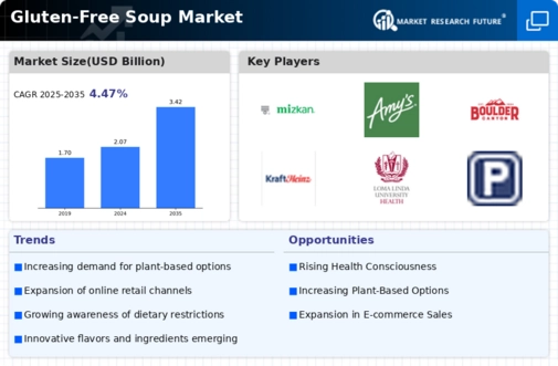 Gluten-Free Soup Market Infographic