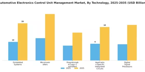 Automotive Electronics Control Unit Management Market Segment Image 1