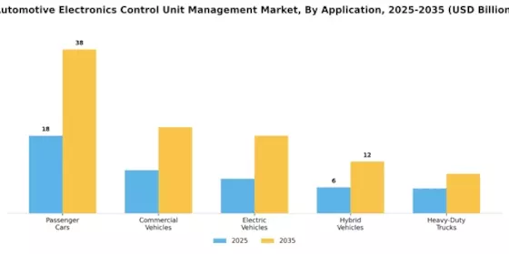Automotive Electronics Control Unit Management Market Segment Image 2