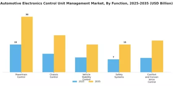 Automotive Electronics Control Unit Management Market Segment Image 3