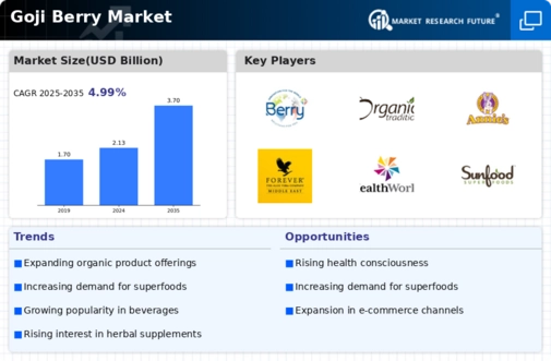 Goji Berry Market Infographic