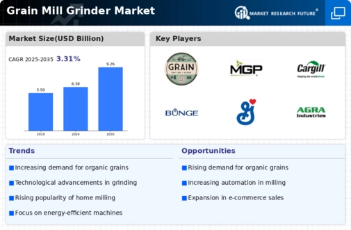 Grain Mill Grinder Market Infographic