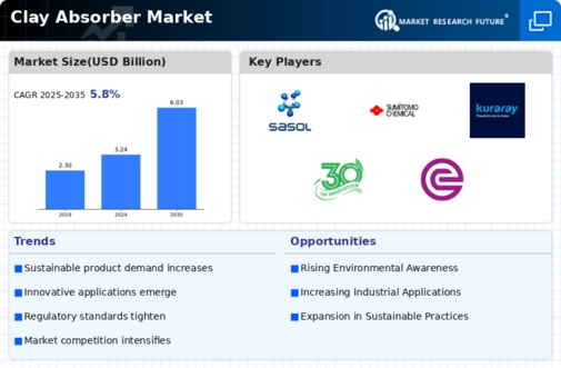 Clay Absorber Market Infographic