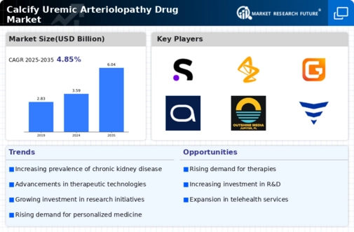 Calcify Uremic Arteriolopathy Drug Market Infographic