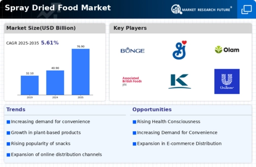 Spray Dried Food Market
 Infographic