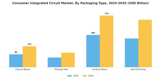 Consumer Integrated Circuit Market Segment Image 2