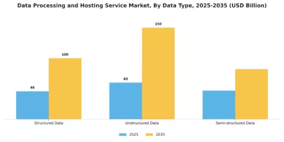 Data Processing And Hosting Service Market
 Segment Image 3
