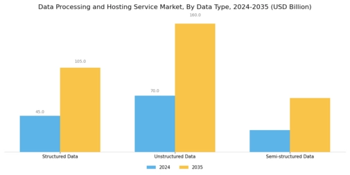 Data Processing And Hosting Service Market
 Segment Image 3