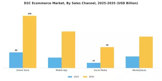 D2C Ecommerce Market Segment Image 1