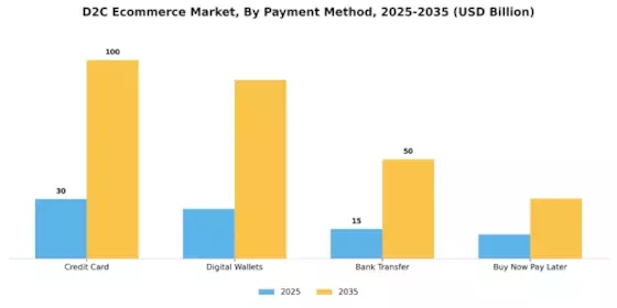 D2C Ecommerce Market Segment Image 3