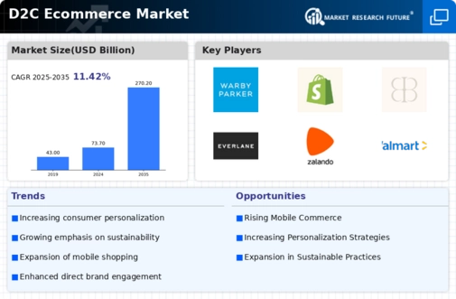 D2C Ecommerce Market Infographic