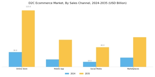 D2C Ecommerce Market Segment Image 1