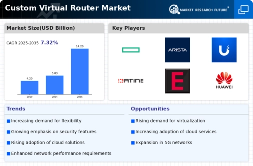 Custom Virtual Router Market Infographic