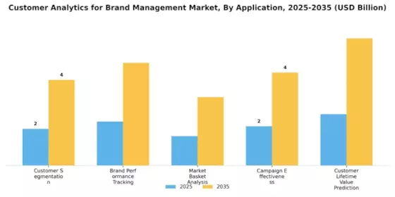 Customer Analytics for Brand Management Market Segment Image 0