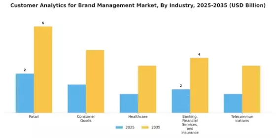 Customer Analytics for Brand Management Market Segment Image 2