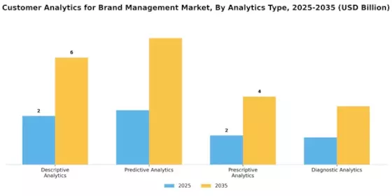 Customer Analytics for Brand Management Market Segment Image 3