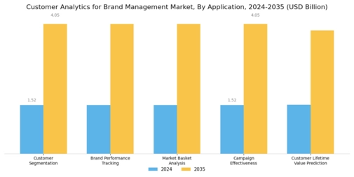 Customer Analytics for Brand Management Market Segment Image 0